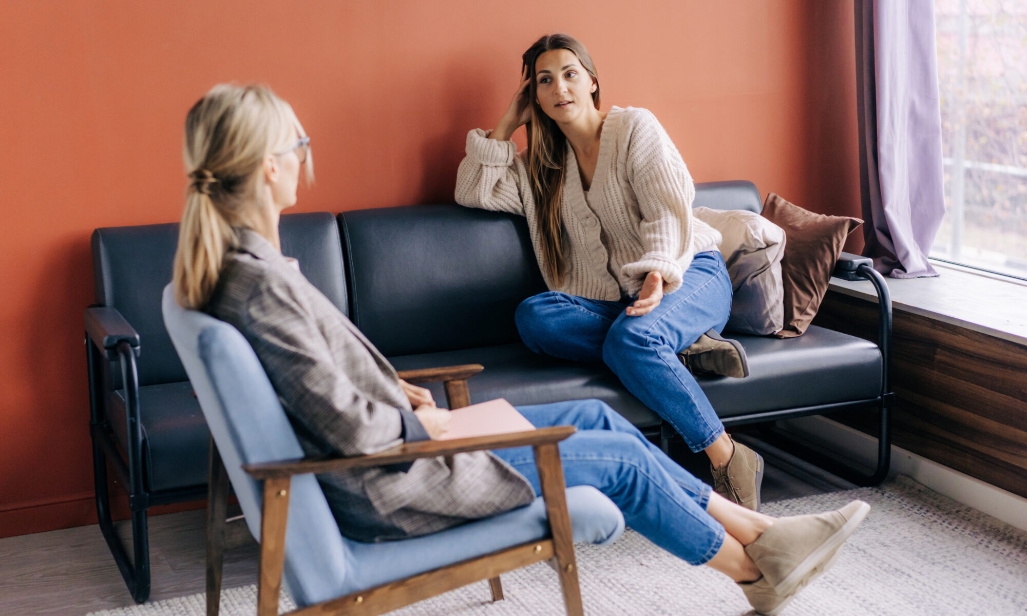 Professional and client Talking